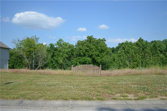 Listing Photo MLS #HMS2395896