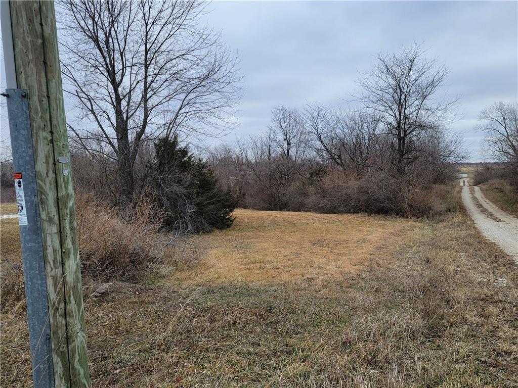 Listing Photo MLS #HMS2414129