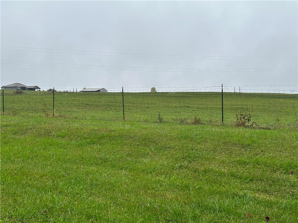 Listing Photo MLS #HMS2460556