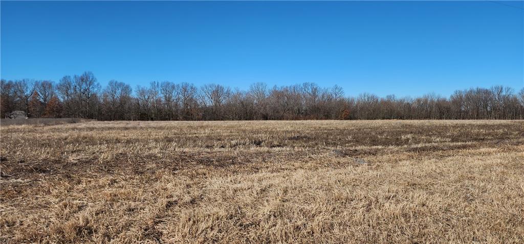 Listing Photo MLS #HMS2470994