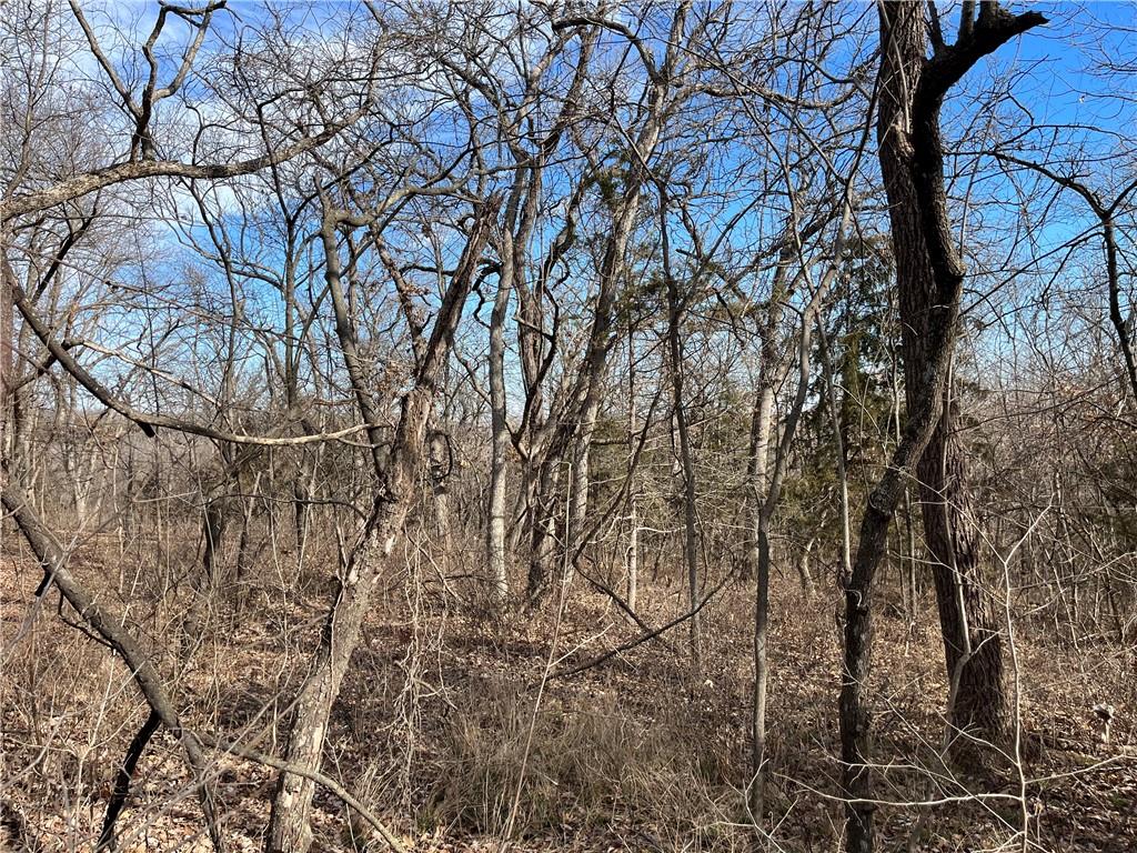Listing Photo MLS #HMS2473556