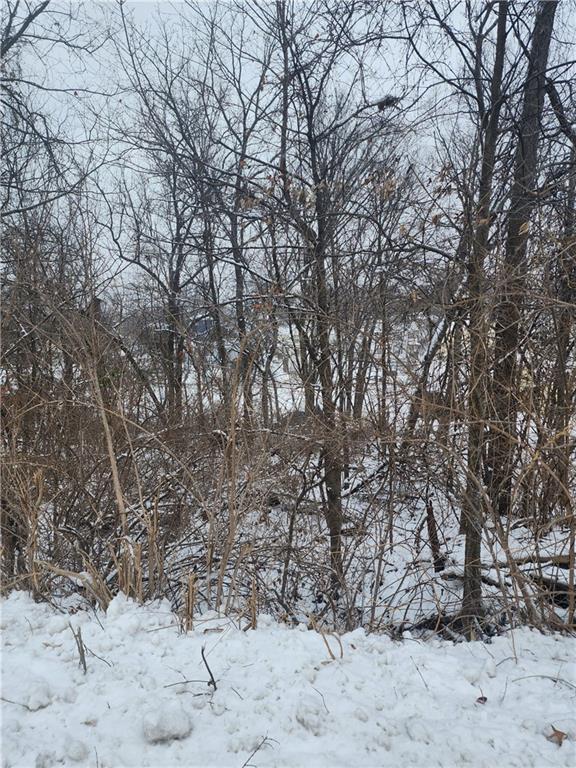 Listing Photo MLS #HMS2482941