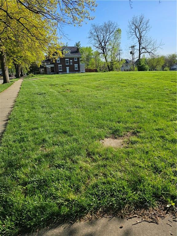 Listing Photo MLS #HMS2483211