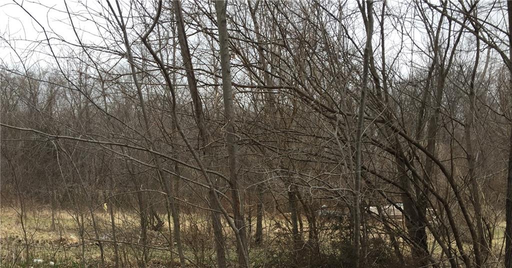 Listing Photo MLS #HMS2487930