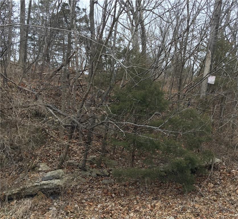Listing Photo MLS #HMS2487932