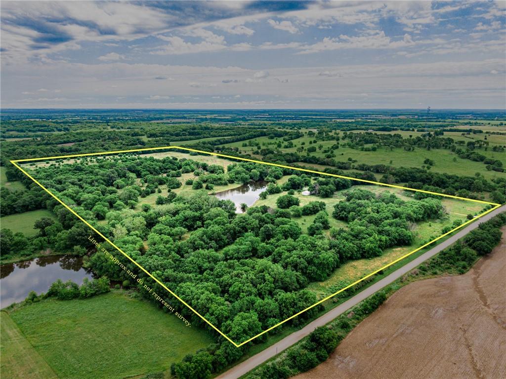 Listing Photo MLS #HMS2490240
