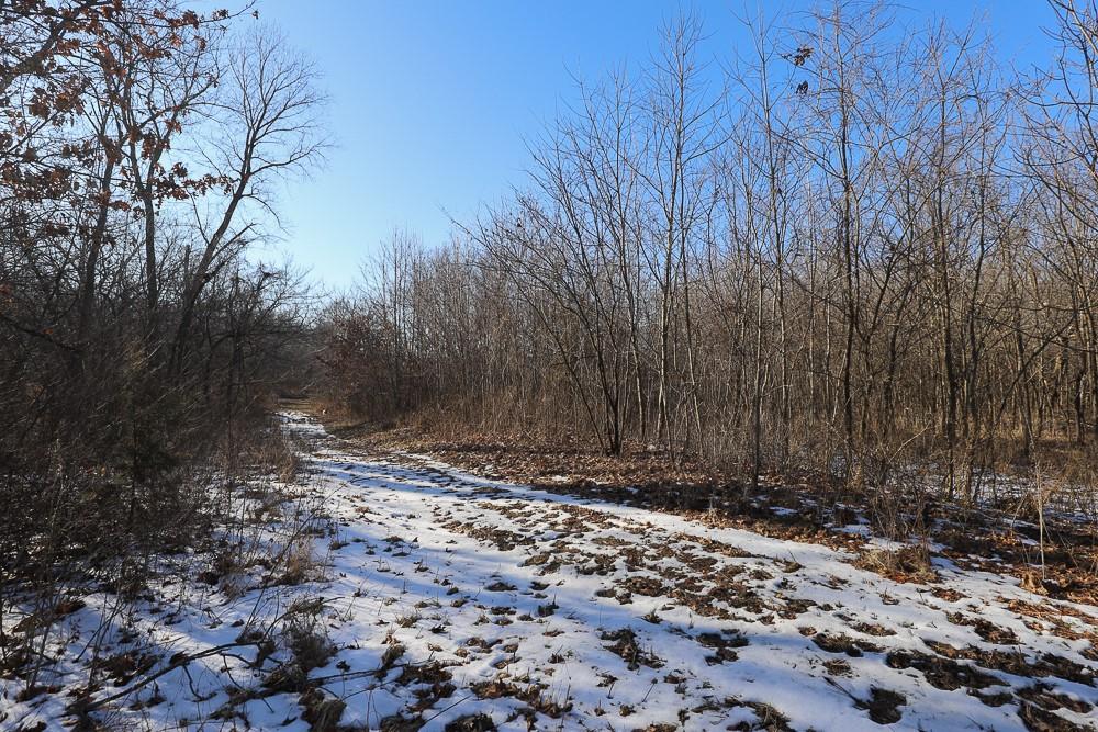 Listing Photo MLS #HMS2492165