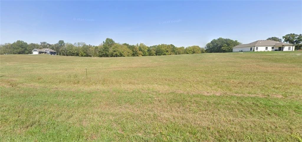 Listing Photo MLS #HMS2497338