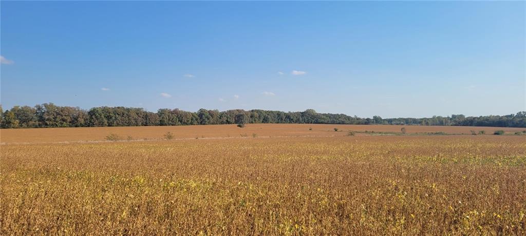 Listing Photo MLS #HMS2499057