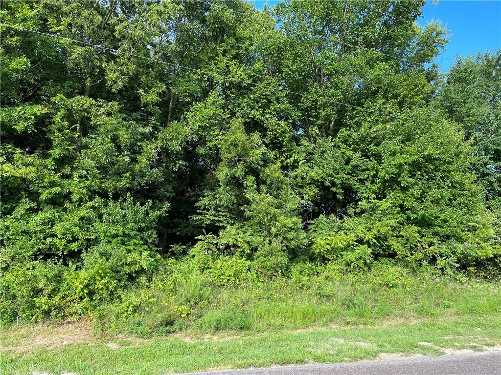 Listing Photo MLS #HMS2501830