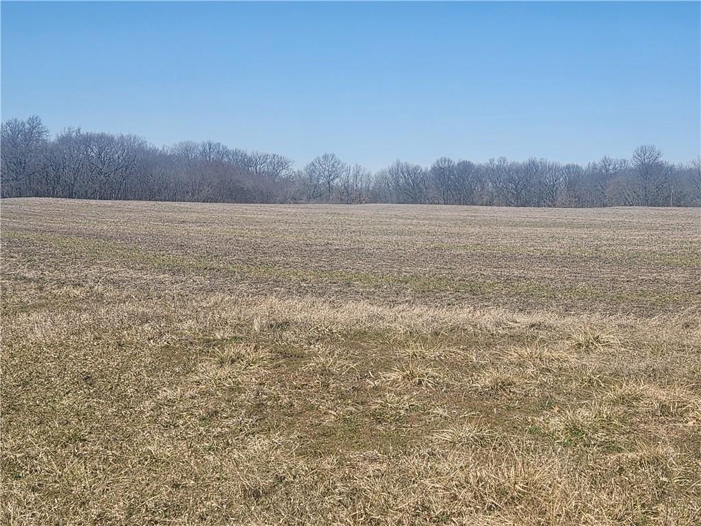 Listing Photo MLS #HMS2503127