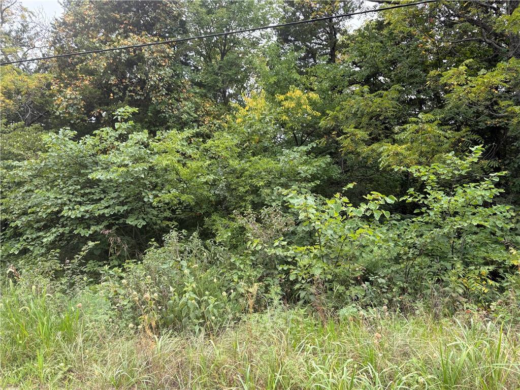 Listing Photo MLS #HMS2503212