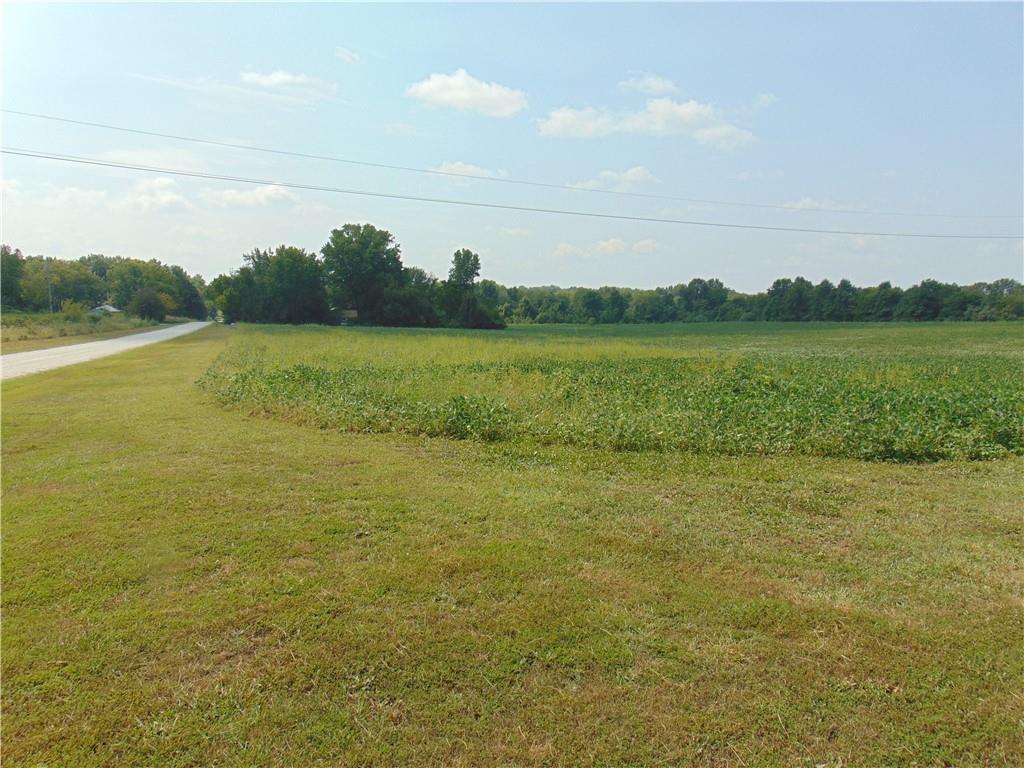Listing Photo MLS #HMS2505454