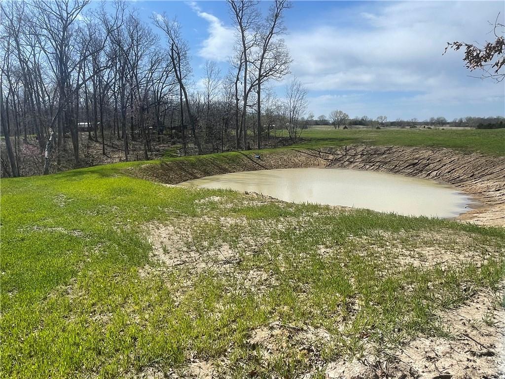 Listing Photo MLS #HMS2515703