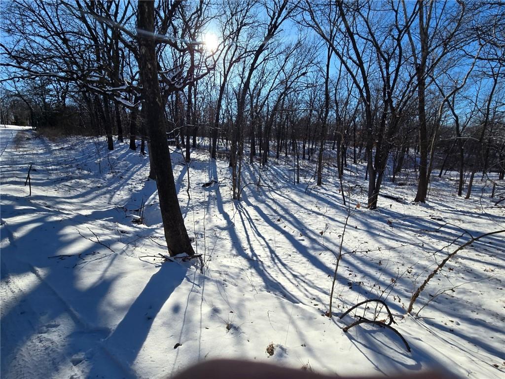 Listing Photo MLS #HMS2517132