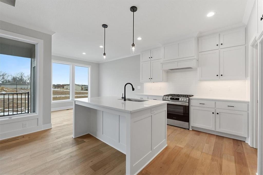 Listing Photo MLS #HMS2517921
