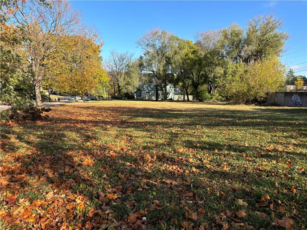 Listing Photo MLS #HMS2518064