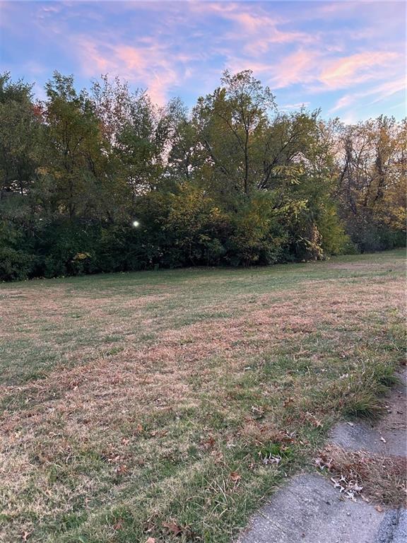 Listing Photo MLS #HMS2518158