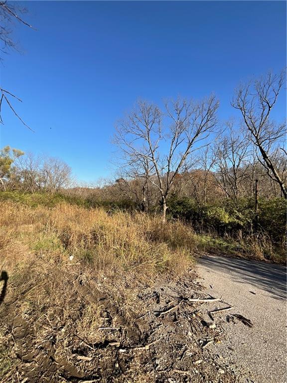 Listing Photo MLS #HMS2519367
