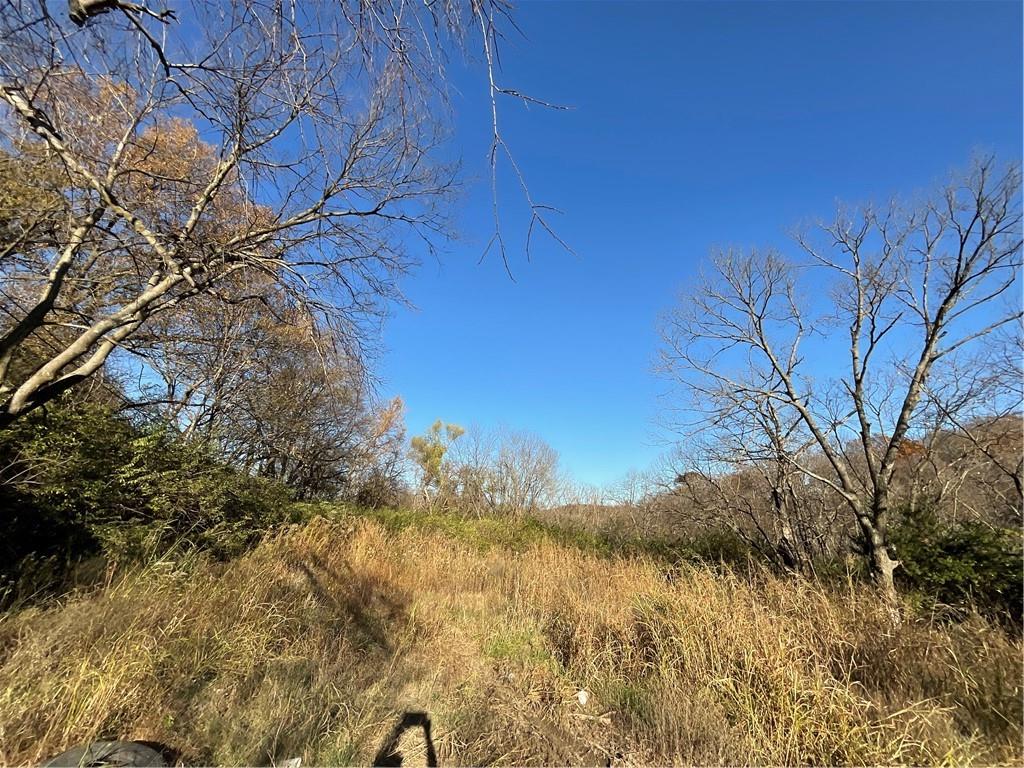 Listing Photo MLS #HMS2519378