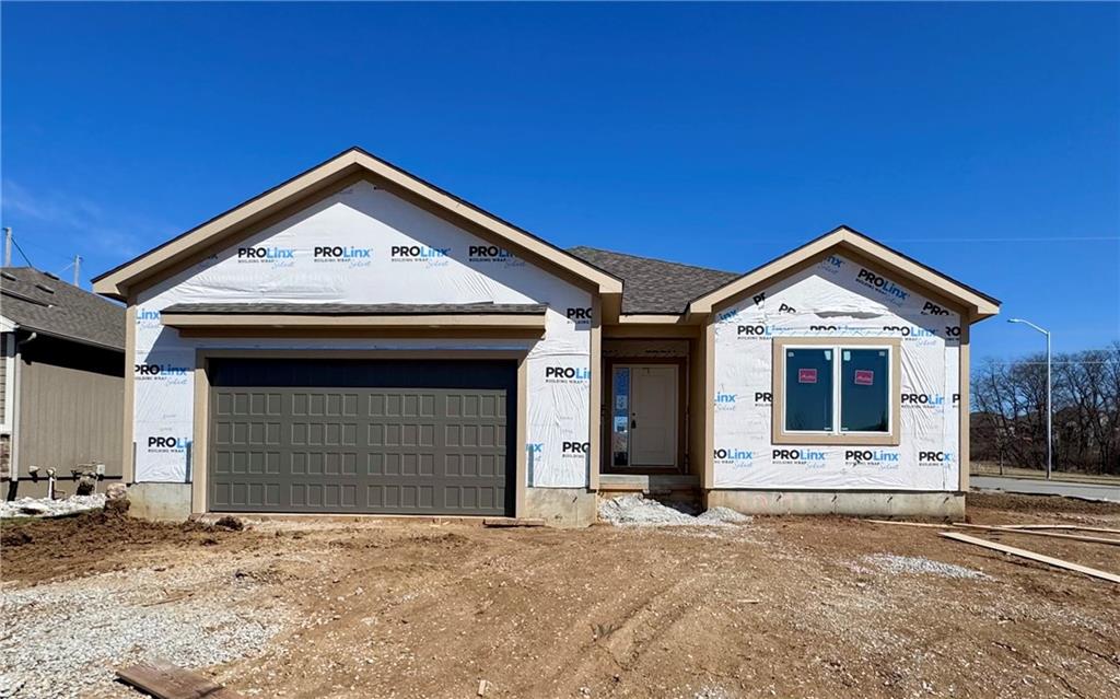 Listing Photo MLS #HMS2519928