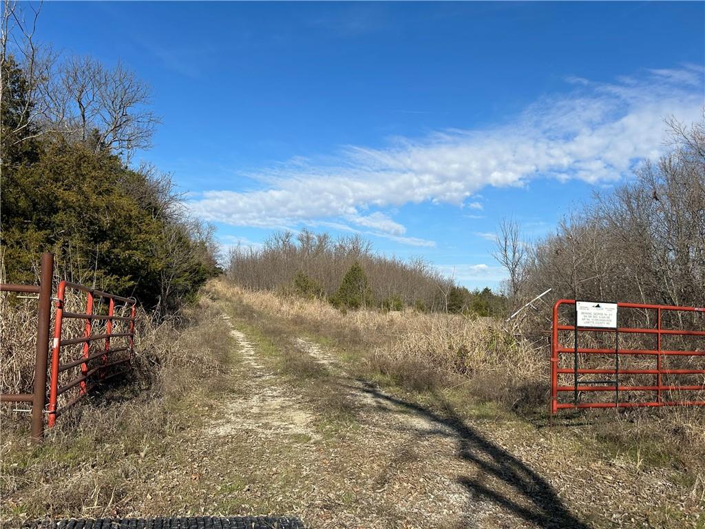 Listing Photo MLS #HMS2522305