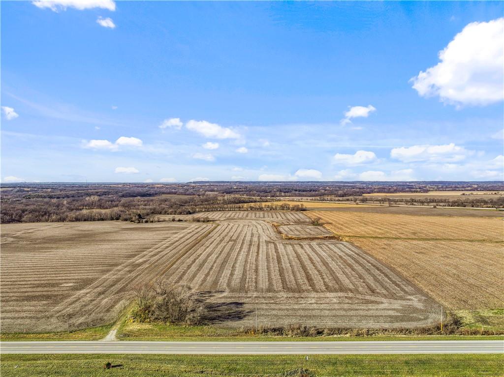Listing Photo MLS #HMS2522749
