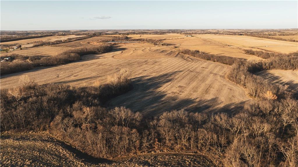 Listing Photo MLS #HMS2522821