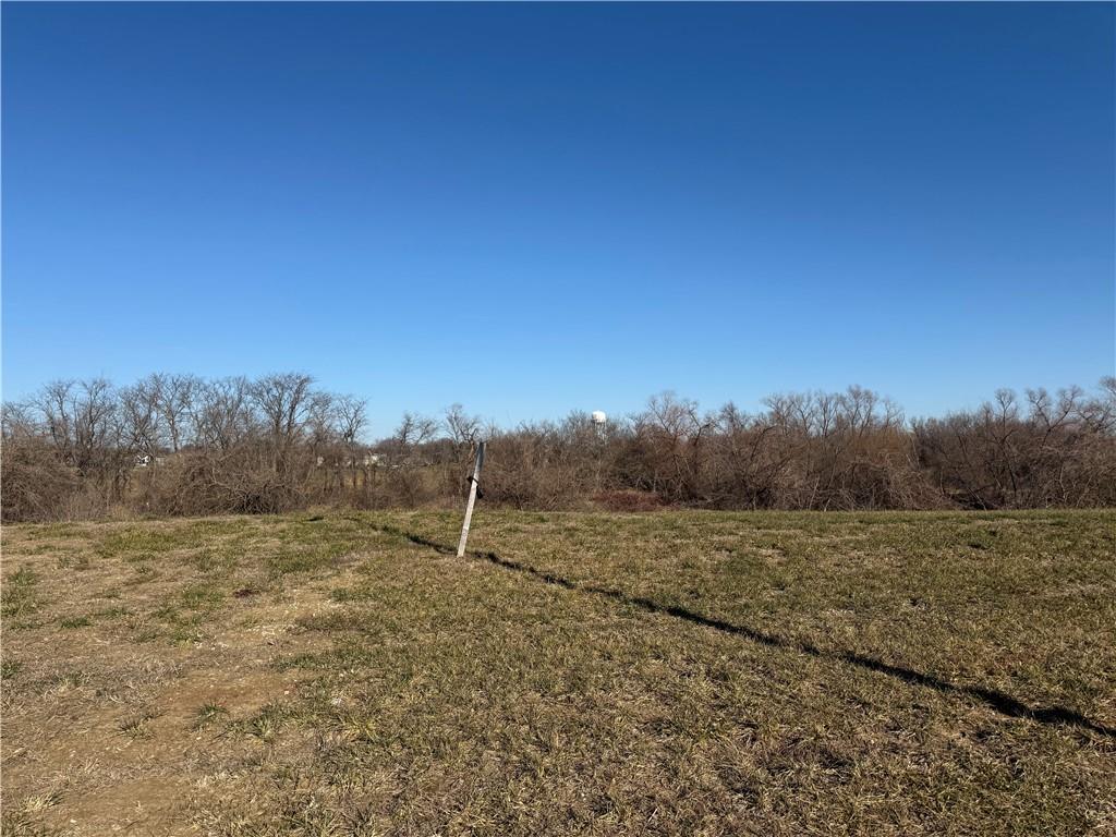 Listing Photo MLS #HMS2523748