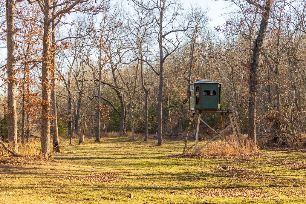Listing Photo MLS #HMS2523841