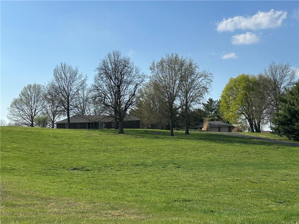 Listing Photo MLS #HMS2524147