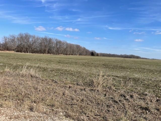 Listing Photo MLS #HMS2525260