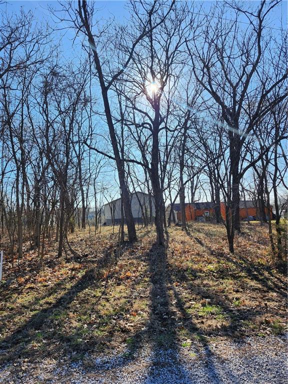 Listing Photo MLS #HMS2526616