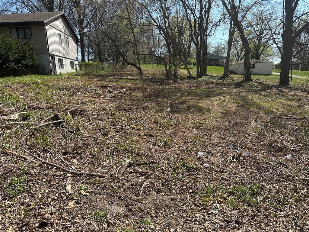 Listing Photo MLS #HMS2526651