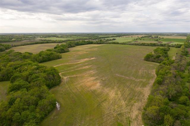 Listing Photo MLS #HMS2527063