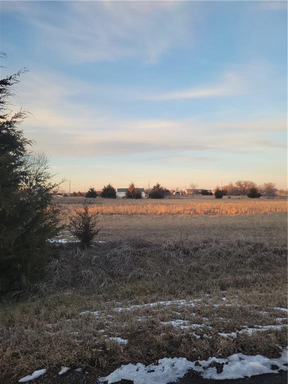 Listing Photo MLS #HMS2527364