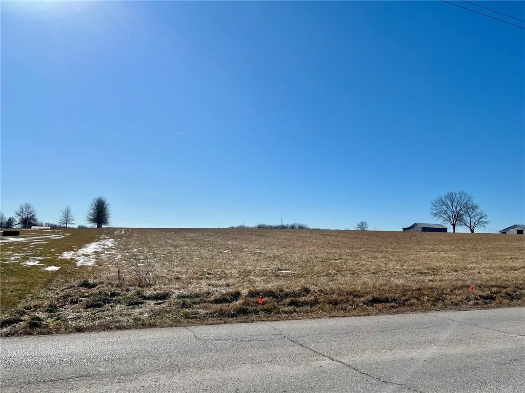 Listing Photo MLS #HMS2528100