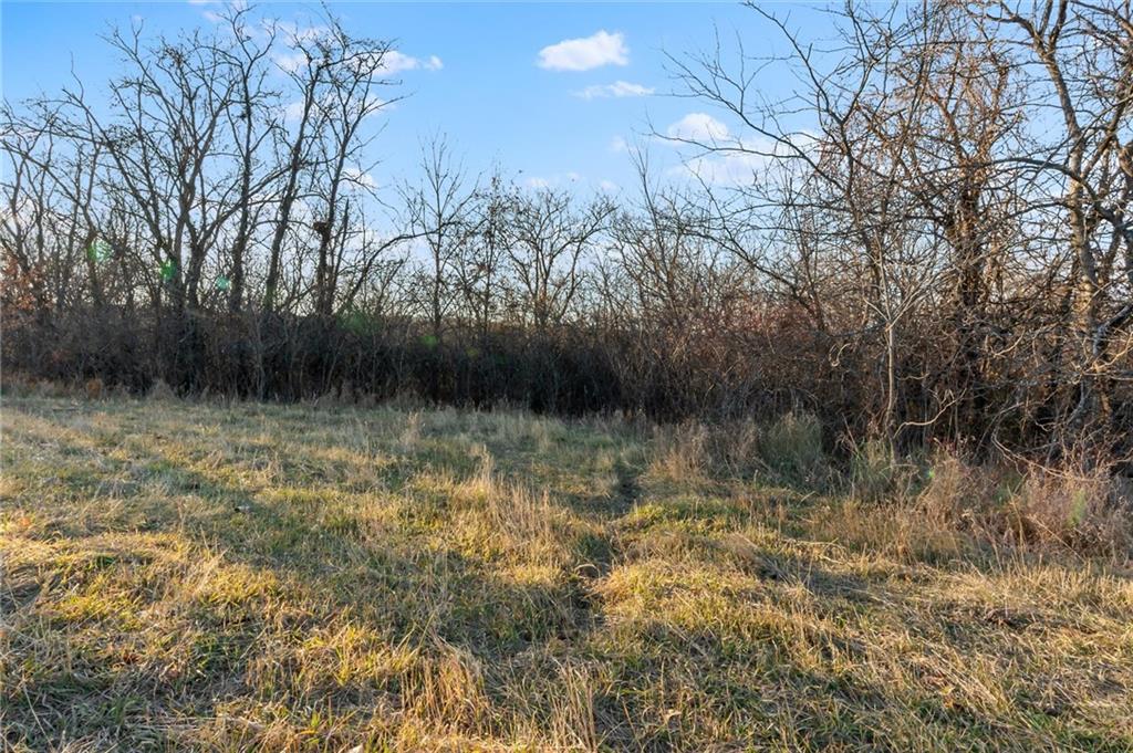 Listing Photo MLS #HMS2528247