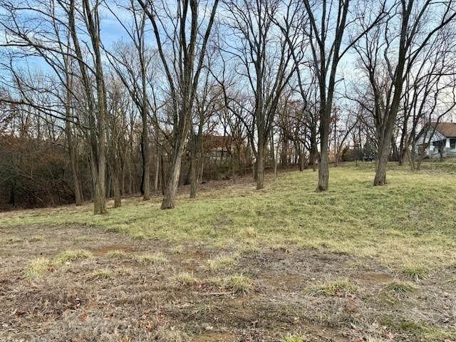 Listing Photo MLS #HMS2528767
