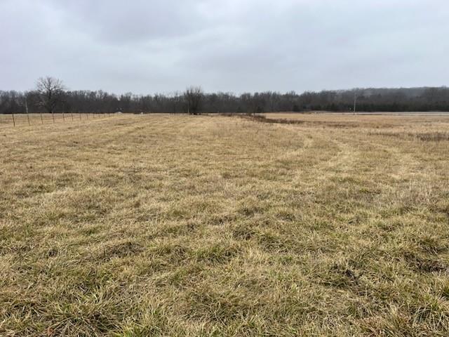 Listing Photo MLS #HMS2528871