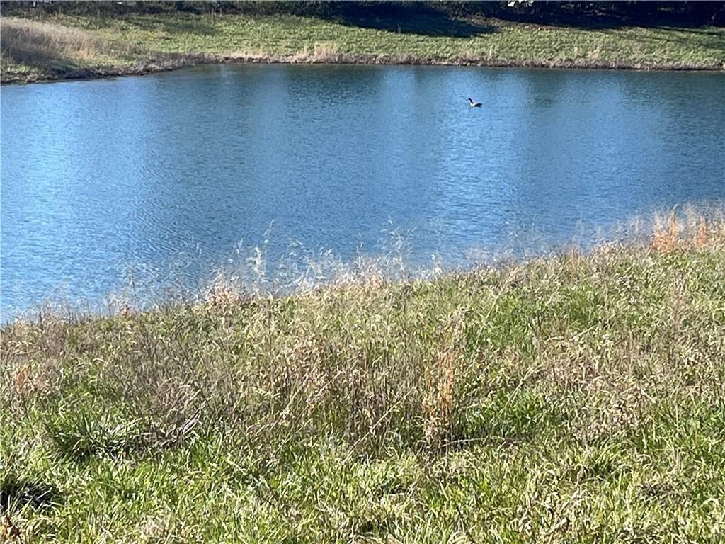 Listing Photo MLS #HMS2530467