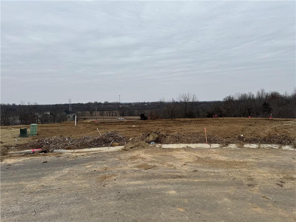 Listing Photo MLS #HMS2530485