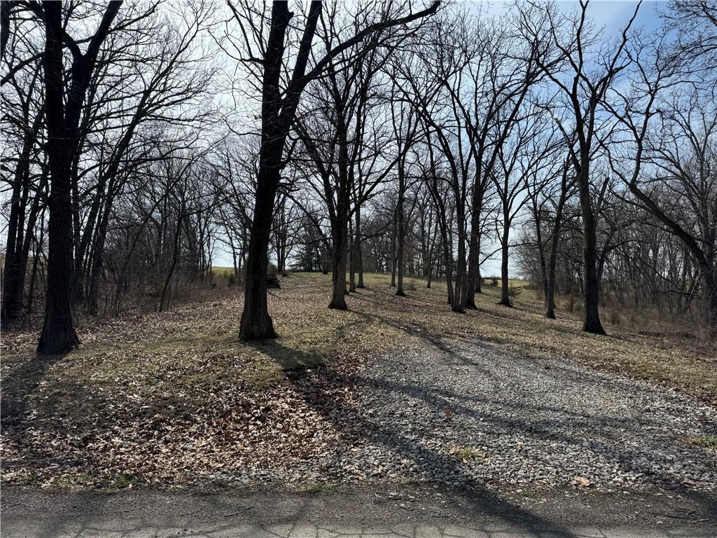 Listing Photo MLS #HMS2531392