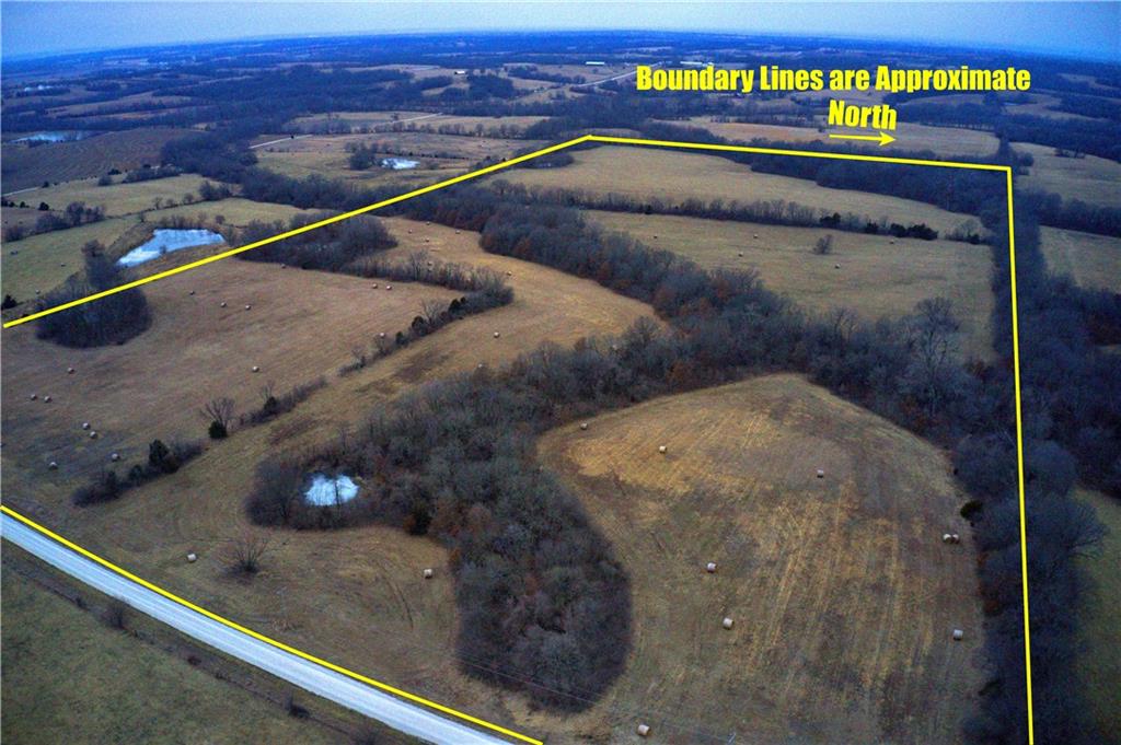 Listing Photo MLS #HMS2531540