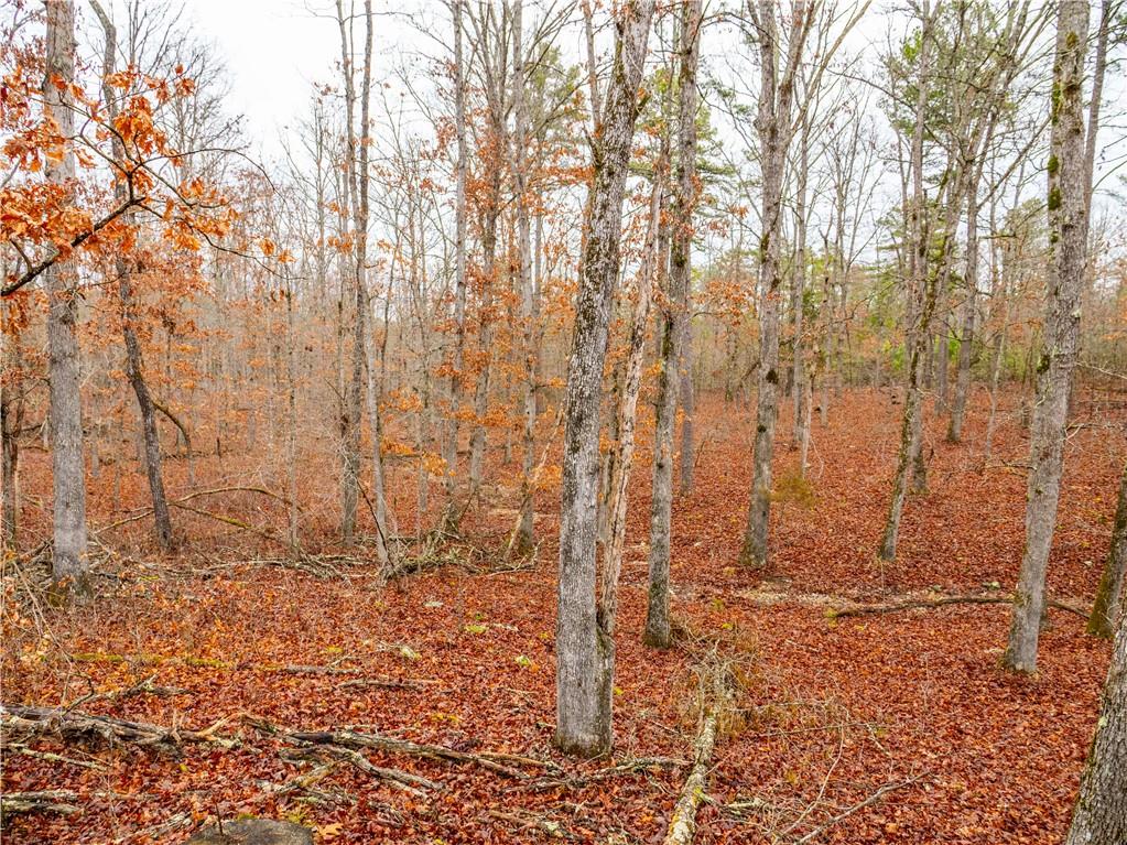 Listing Photo MLS #HMS2531835