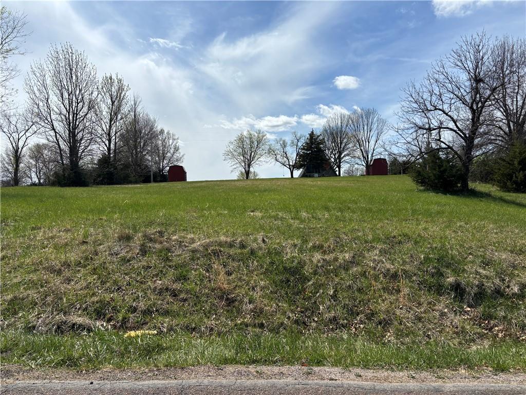 Listing Photo MLS #HMS2531897