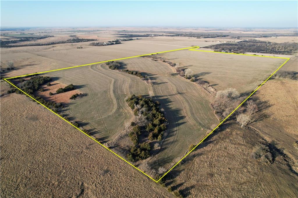 Listing Photo MLS #HMS2532047