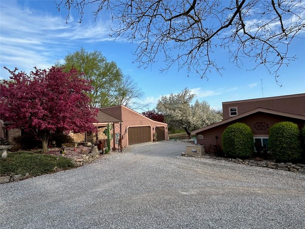 Listing Photo MLS #HMS2532263