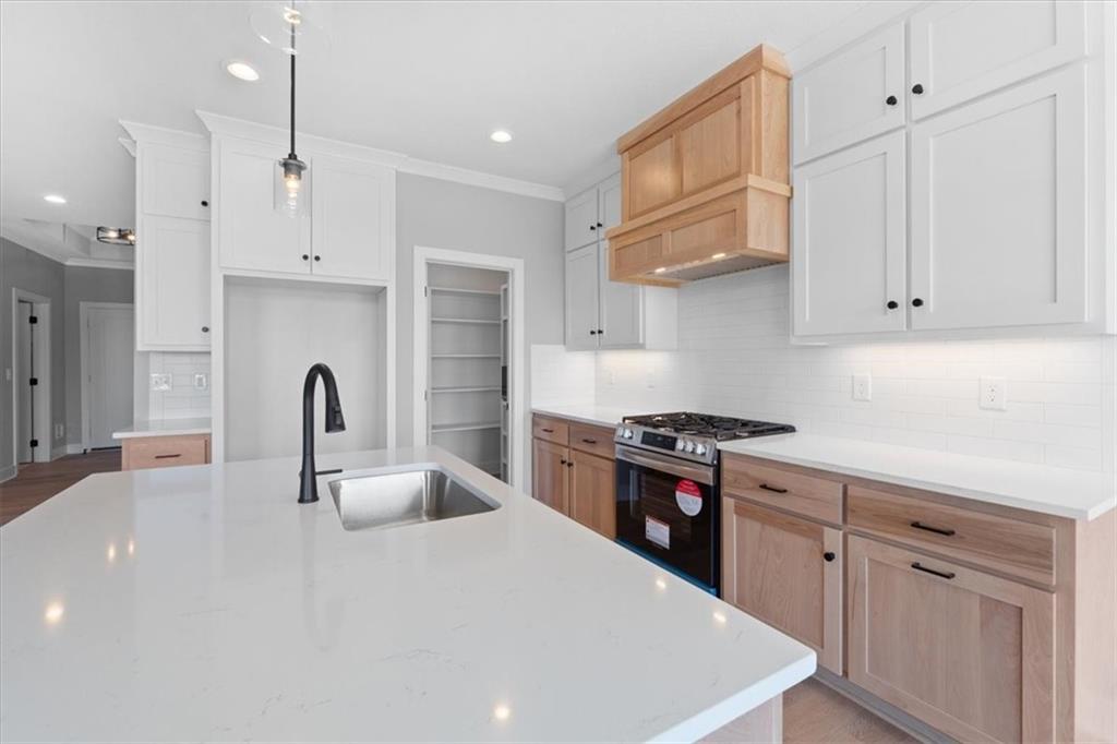 Listing Photo MLS #HMS2532286