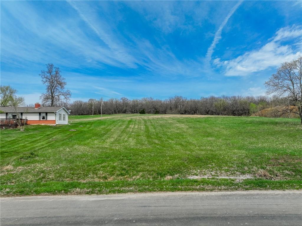 Listing Photo MLS #HMS2532349